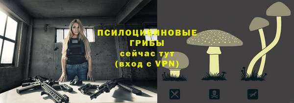 крисы Вяземский