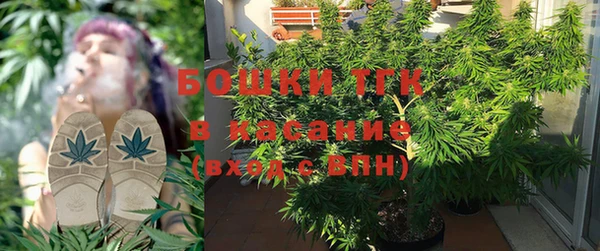 ГАЛЛЮЦИНОГЕННЫЕ ГРИБЫ Вязьма