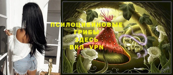 крисы Вяземский
