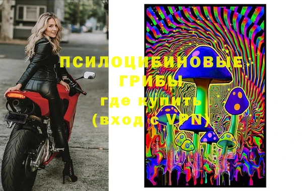 стаф Валдай