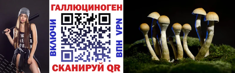 площадка клад  Гвардейск  Галлюциногенные грибы Magic Shrooms 